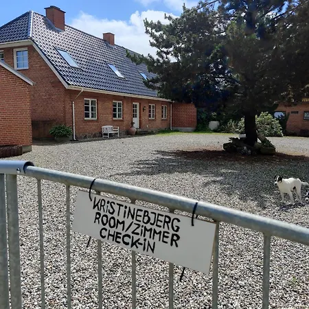 民宿 Kristinebjerg Jelling